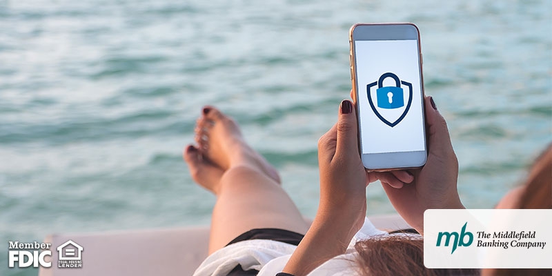 Cybersecurity Top Tips for Traveling